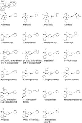 Metabolic Pathways and Potencies of New Fentanyl Analogs